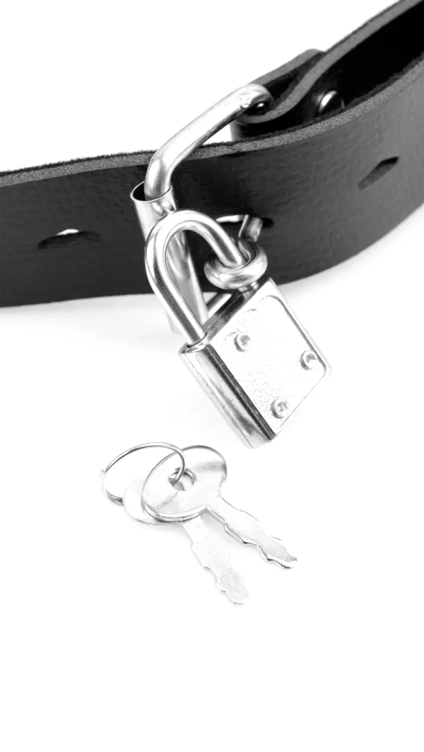 Fetish Fantasy Series - Deluxe Ball Gag with Dildo - Image 5